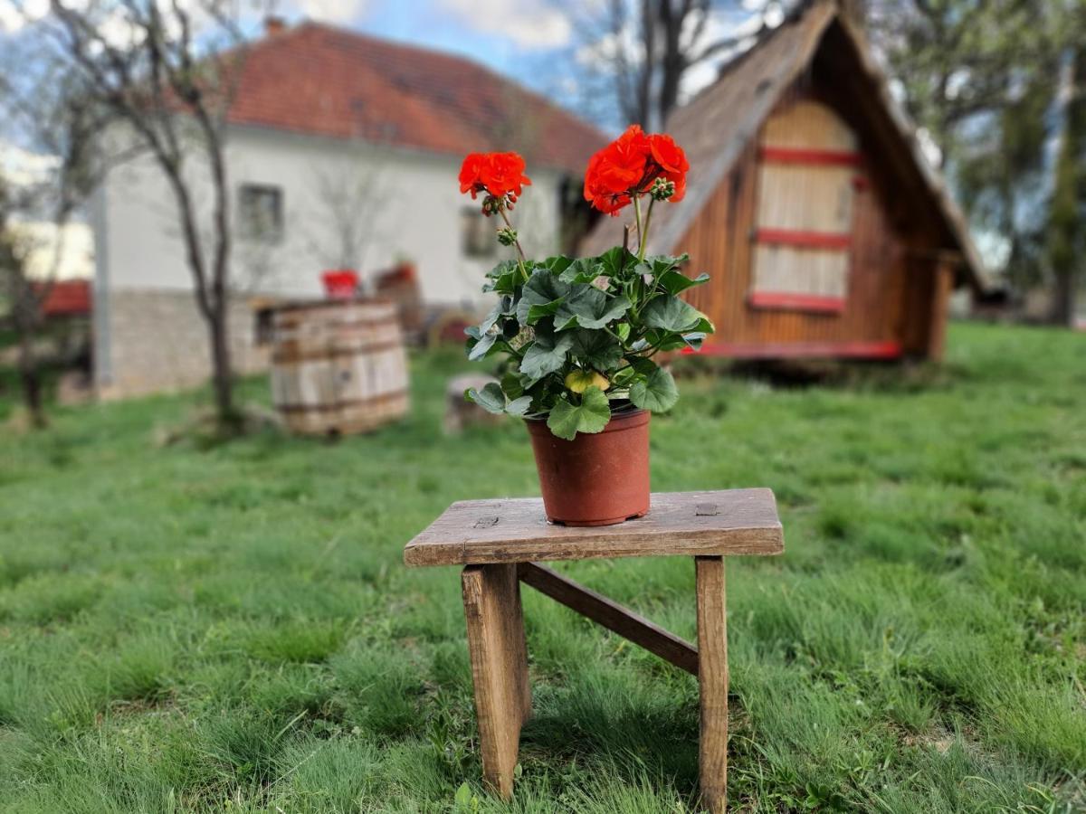 Hotel Etno Domacinstvo Saponjic Nova Varoš Exteriér fotografie