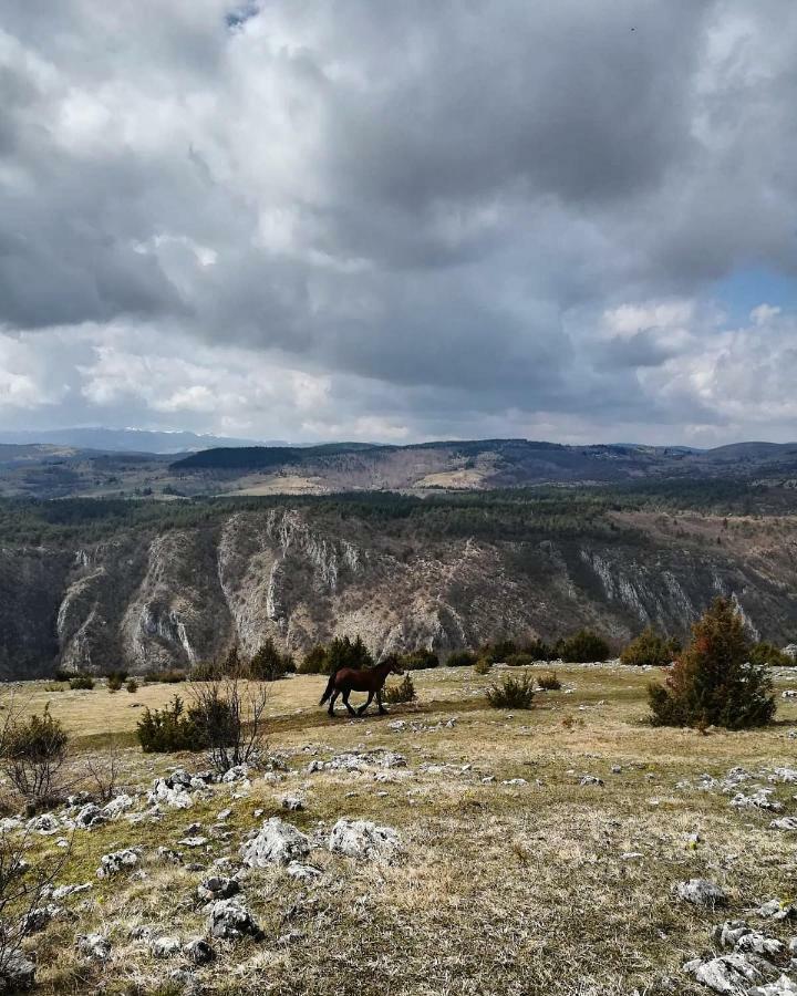 Hotel Etno Domacinstvo Saponjic Nova Varoš Exteriér fotografie